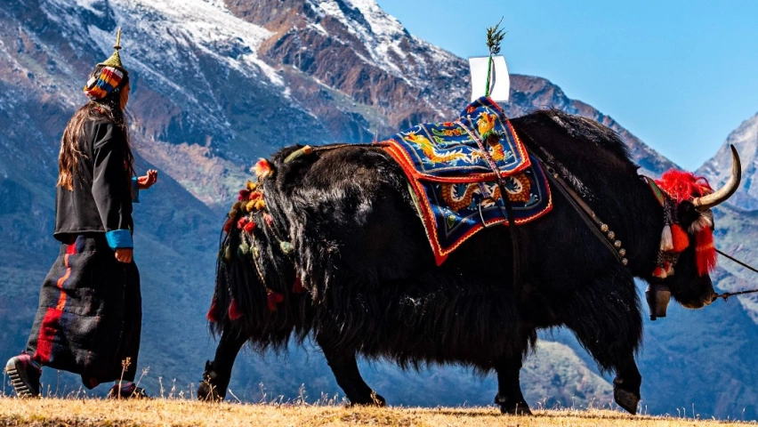 Suasana alam di Bhutan. [Instagram@tourismbhutan]