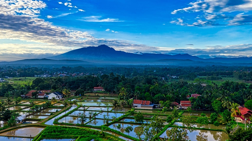 Ilustrasi lahan pertanian. [Pexels]