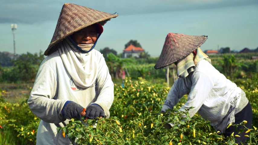 Petani Regeneratif. (Dok. Pexels/Danang DKW)